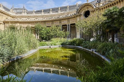 Le-Petit-Palais-3-2.jpg